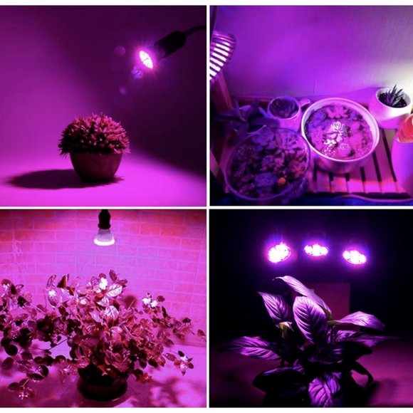 4 Pack US 28W Full Spectrum E27 E26 LED Grow Light for Veg Bloom Indoor Plant - Picture 5 of 7